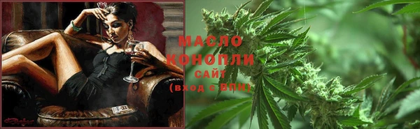 хмурый Арсеньев