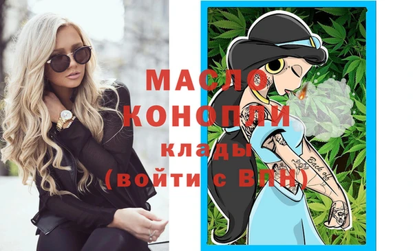 хмурый Арсеньев