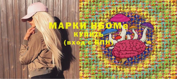 хмурый Арсеньев