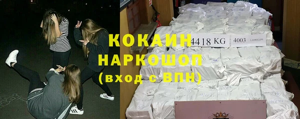хмурый Арсеньев