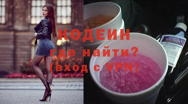 хмурый Арсеньев