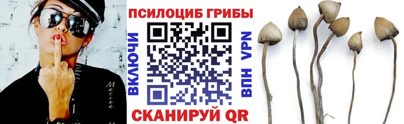 Псилоцибиновые грибы Cubensis  Бежецк 