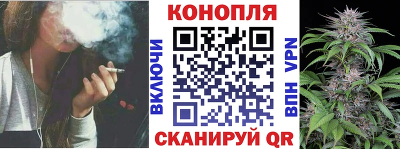 наркотики  Бежецк  Бошки марихуана сатива 